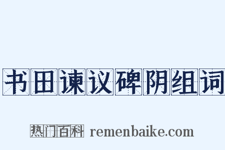 书田谏议碑阴组词是什么意思的图片